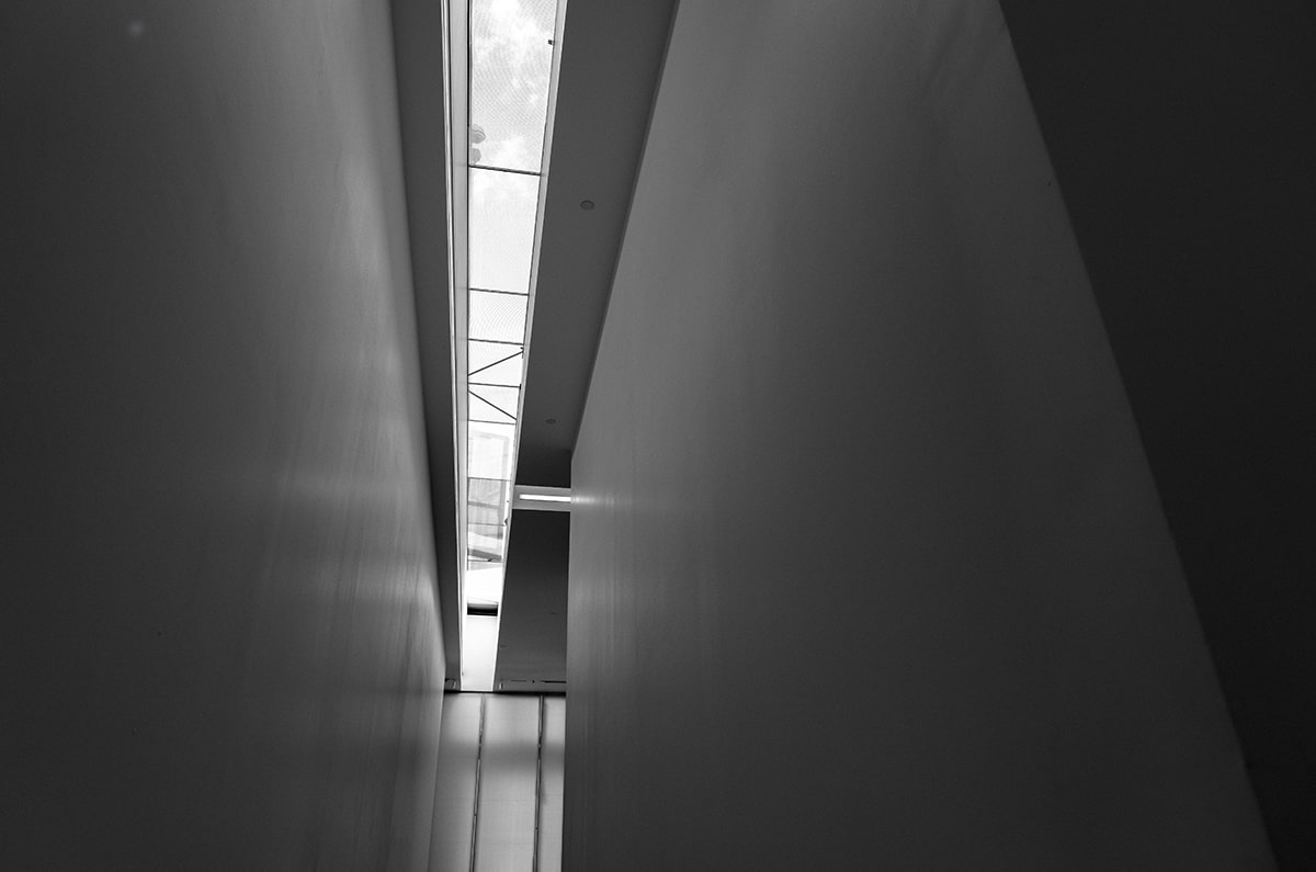 蘑菇视频图文教程合集：适合初次接触用户的一页式入门指南