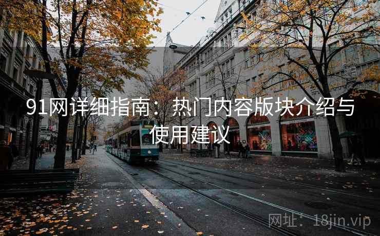 91网详细指南：热门内容版块介绍与使用建议