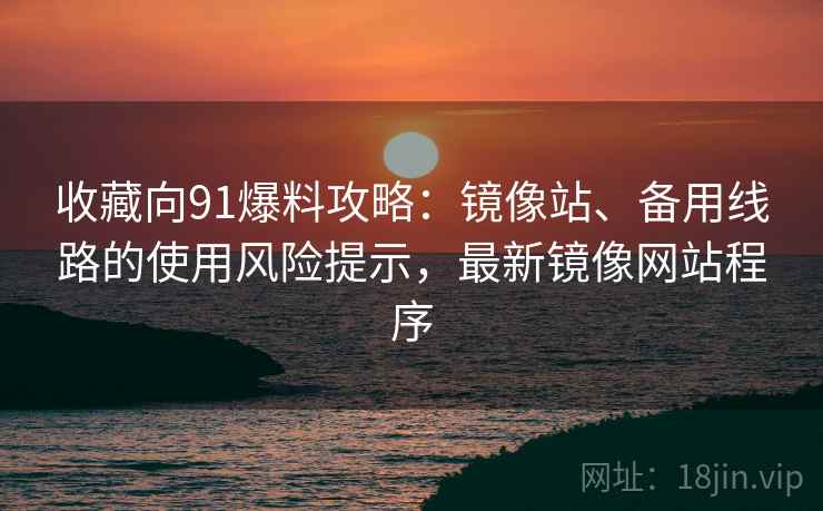 收藏向91爆料攻略：镜像站、备用线路的使用风险提示，最新镜像网站程序