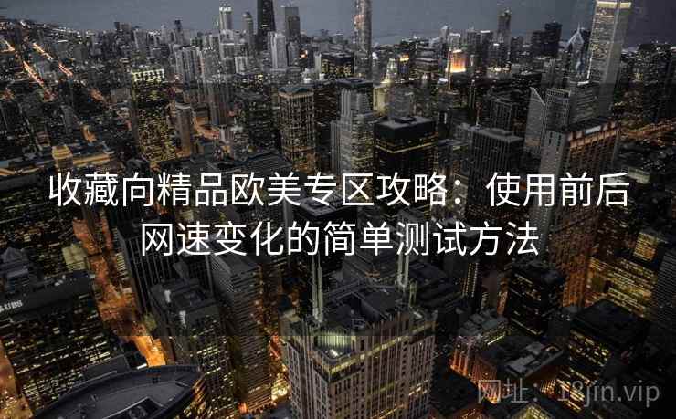 收藏向精品欧美专区攻略：使用前后网速变化的简单测试方法