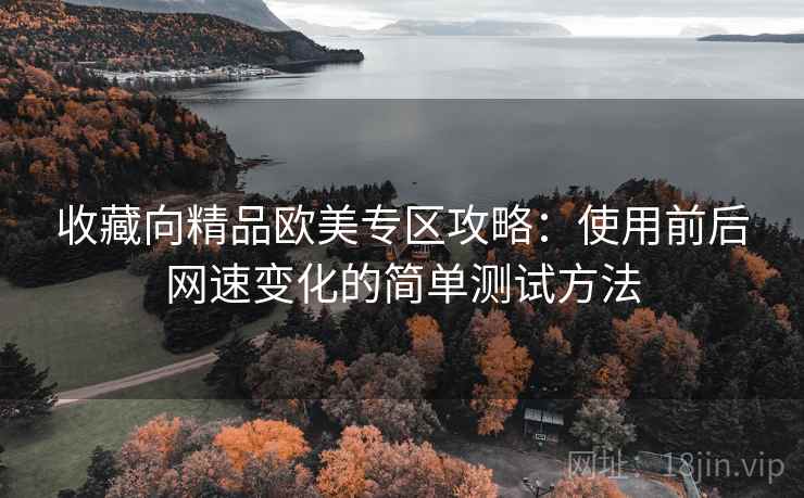 收藏向精品欧美专区攻略：使用前后网速变化的简单测试方法