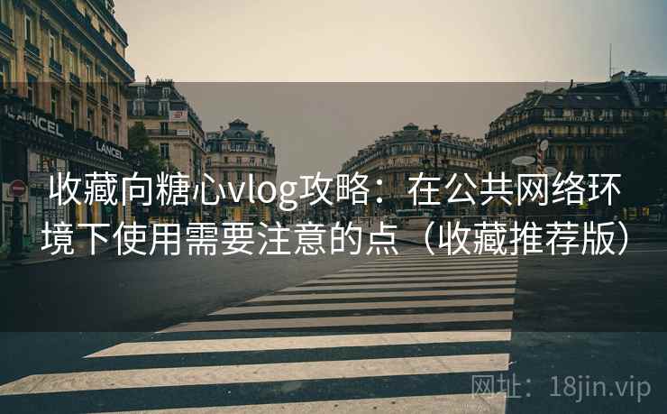 收藏向糖心vlog攻略：在公共网络环境下使用需要注意的点（收藏推荐版）