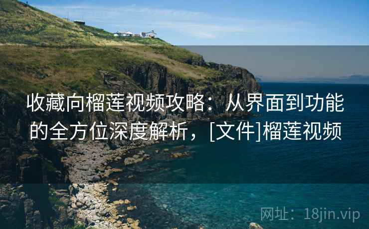 收藏向榴莲视频攻略：从界面到功能的全方位深度解析，[文件]榴莲视频