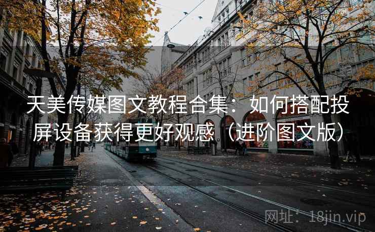 天美传媒图文教程合集：如何搭配投屏设备获得更好观感（进阶图文版）