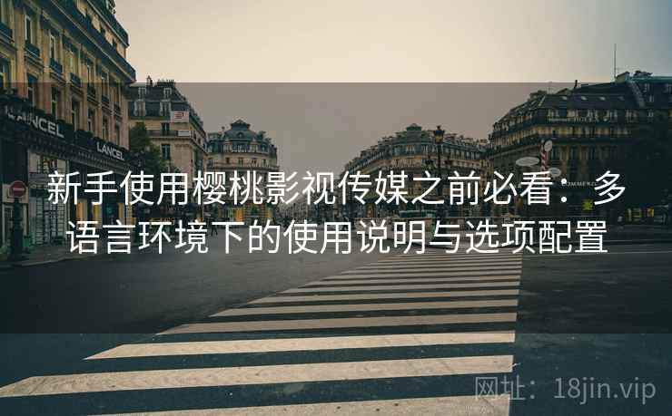 新手使用樱桃影视传媒之前必看：多语言环境下的使用说明与选项配置