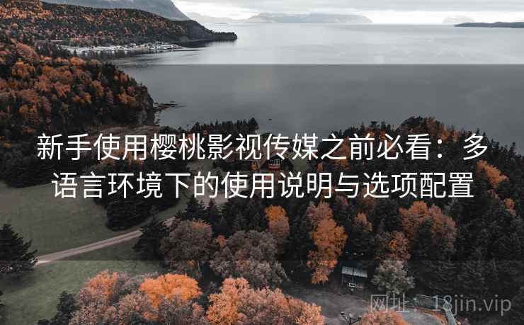 新手使用樱桃影视传媒之前必看：多语言环境下的使用说明与选项配置