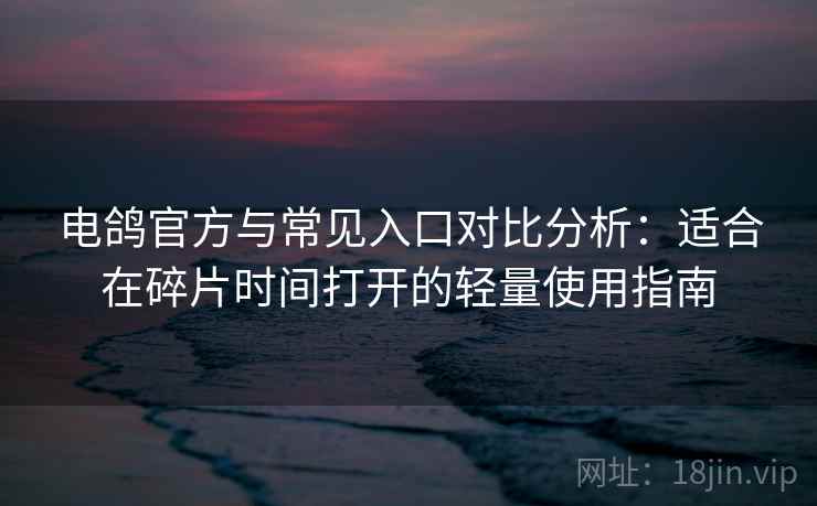 电鸽官方与常见入口对比分析：适合在碎片时间打开的轻量使用指南