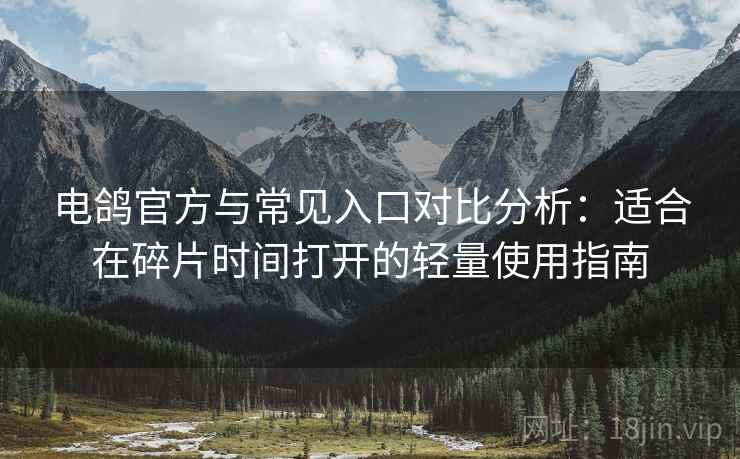 电鸽官方与常见入口对比分析：适合在碎片时间打开的轻量使用指南