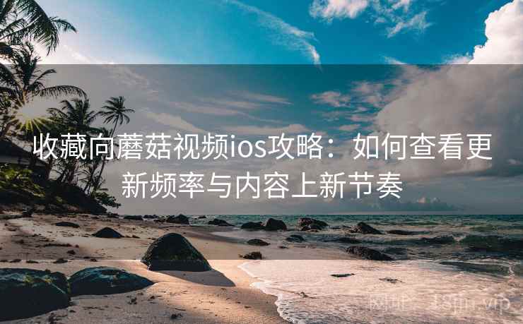 收藏向蘑菇视频ios攻略：如何查看更新频率与内容上新节奏