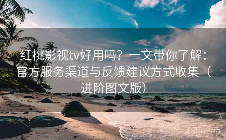 红桃影视tv好用吗？一文带你了解：官方服务渠道与反馈建议方式收集（进阶图文版）