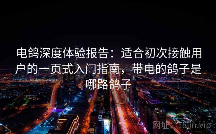 电鸽深度体验报告：适合初次接触用户的一页式入门指南，带电的鸽子是哪路鸽子