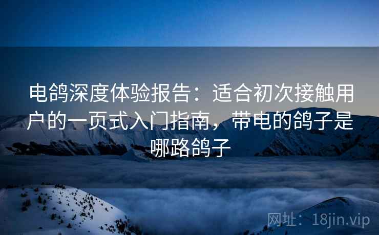 电鸽深度体验报告：适合初次接触用户的一页式入门指南，带电的鸽子是哪路鸽子