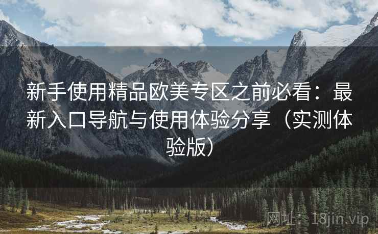 新手使用精品欧美专区之前必看：最新入口导航与使用体验分享（实测体验版）