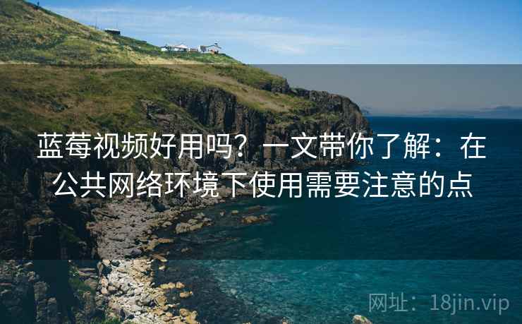 蓝莓视频好用吗？一文带你了解：在公共网络环境下使用需要注意的点
