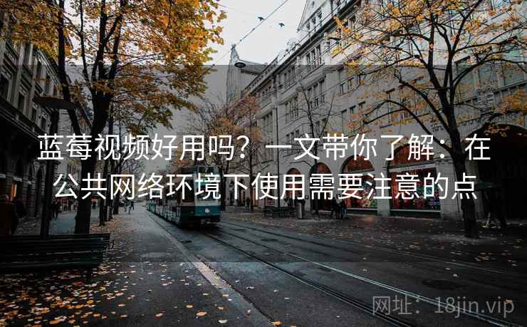 蓝莓视频好用吗?一文带你了解:在公共网络环境下使用需要注意的点 蓝莓视频好用吗?一文带你了解:在公共网络环境下使用需要注意的点