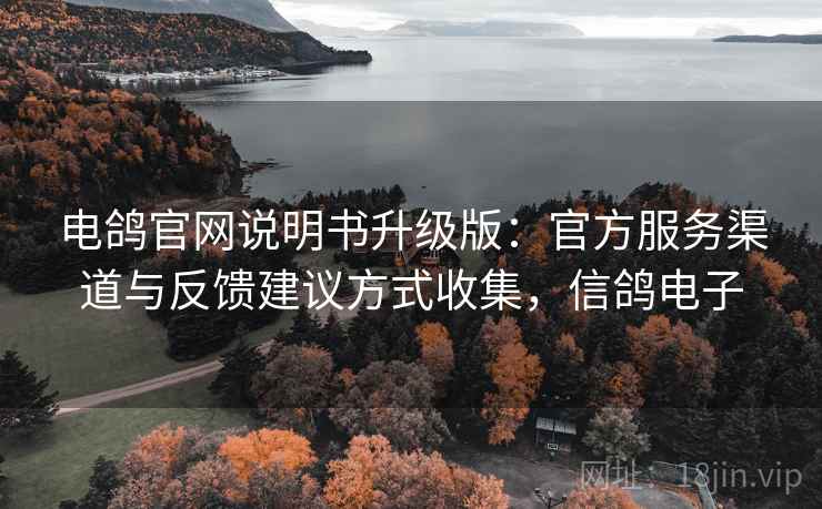 电鸽官网说明书升级版:官方服务渠道与反馈建议方式收集,信鸽电子 电鸽官网说明书升级版:官方服务渠道与反馈建议方式收集,信鸽电子