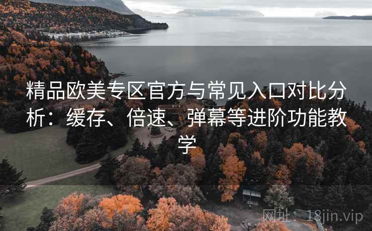 精品欧美专区官方与常见入口对比分析：缓存、倍速、弹幕等进阶功能教学
